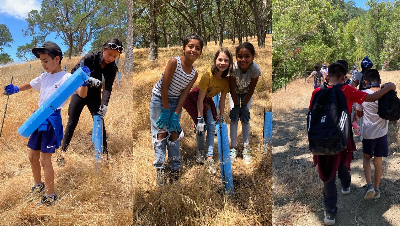 Kids at Curry Canyon Ranch, caring for trees and hiking