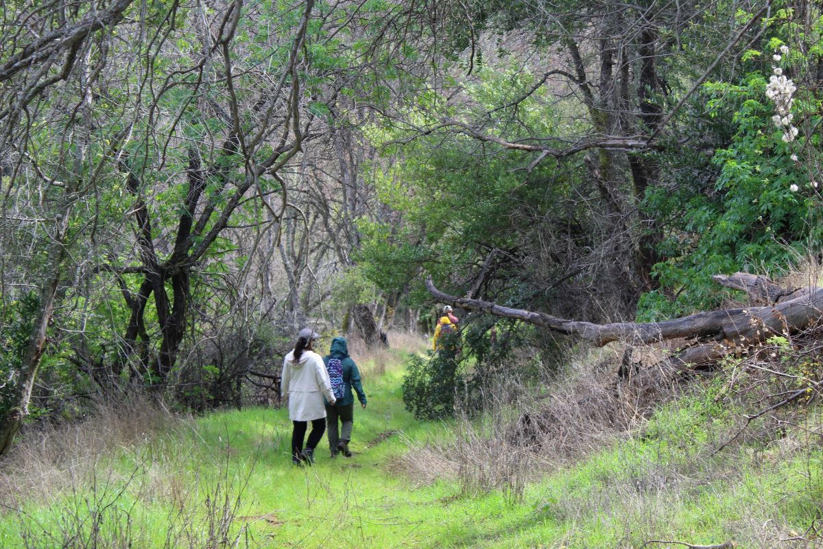SMD staff hike through the Ginochio Schwendel Ranch